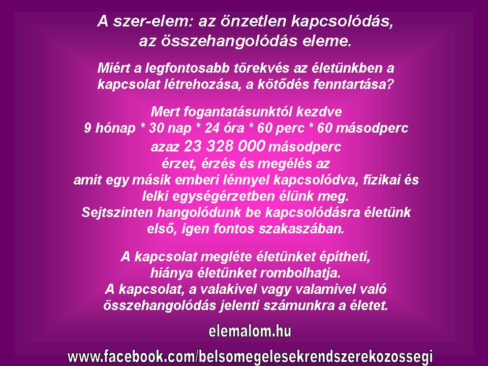 Miért a szerelem a legfontosabb az életünkben