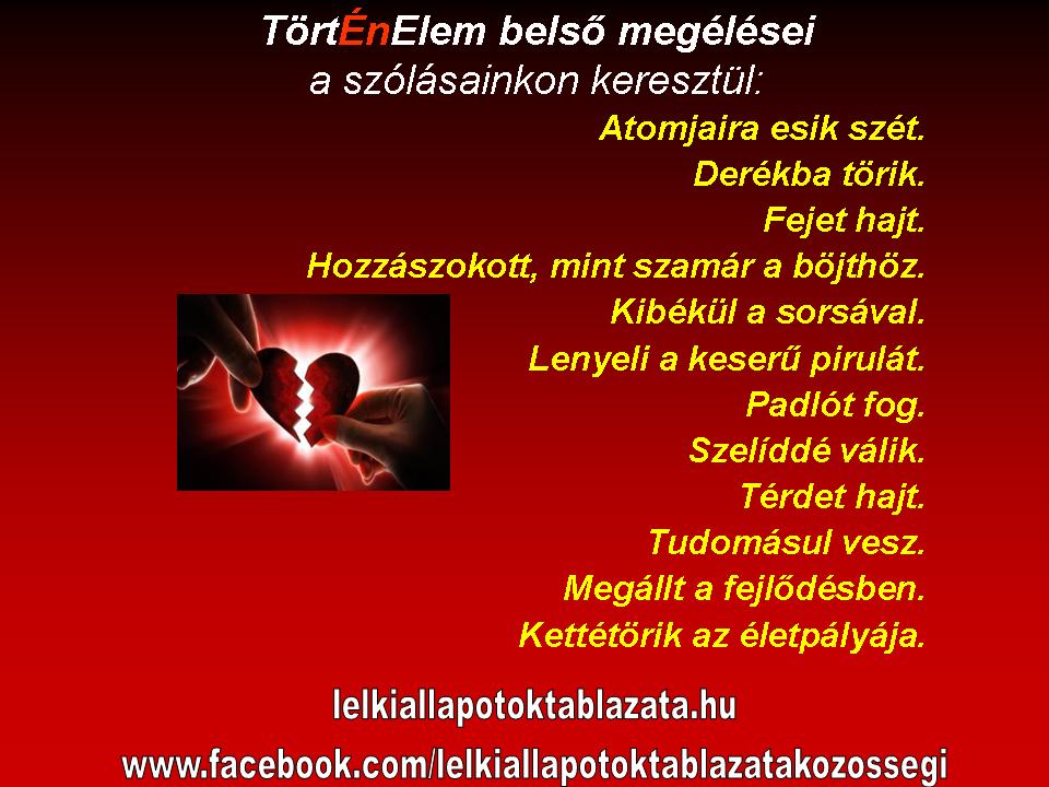TörtÉnelem 1