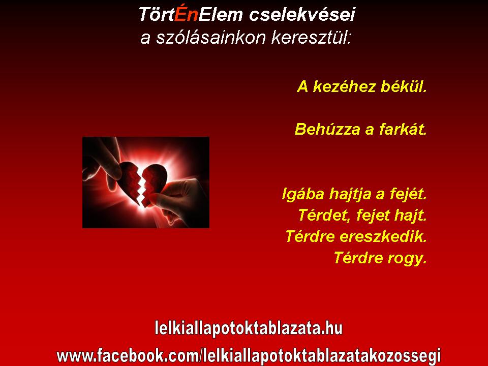 TörtÉnelem 2